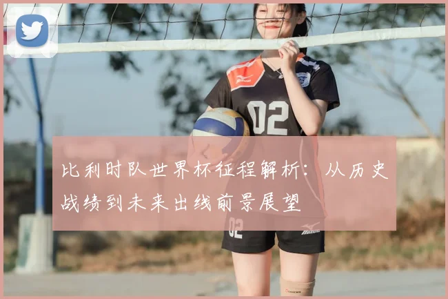 比利时队世界杯征程解析：从历史战绩到未来出线前景展望